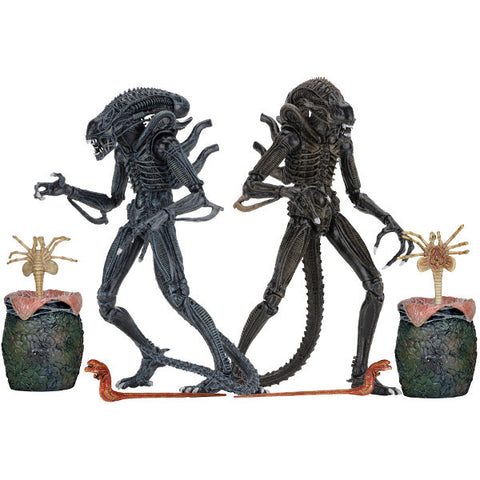 Ultimate Alien Warrior 1986 Aliens 7" Scale Action Figures Set of 2