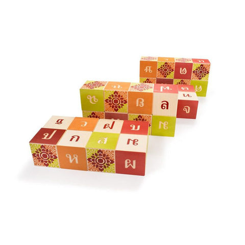 Thai Language Building Blocks - Uncle Goose